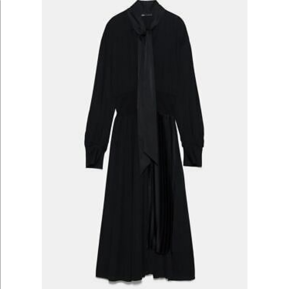 Zara Dress - Picture 7 of 7